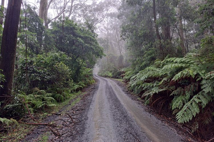 Red Rocks Mountain Retreat, Browns Mountain, Kangaroo Valley