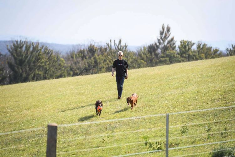 Moosewood House + Cottage, Kangaroo Valley
