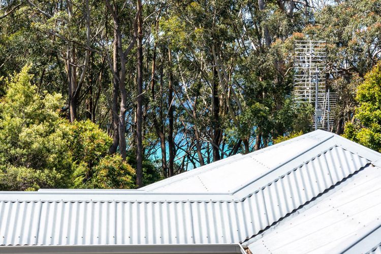 Sandpiper, Hyams Beach