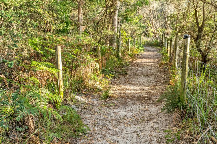 Sandpiper, Hyams Beach