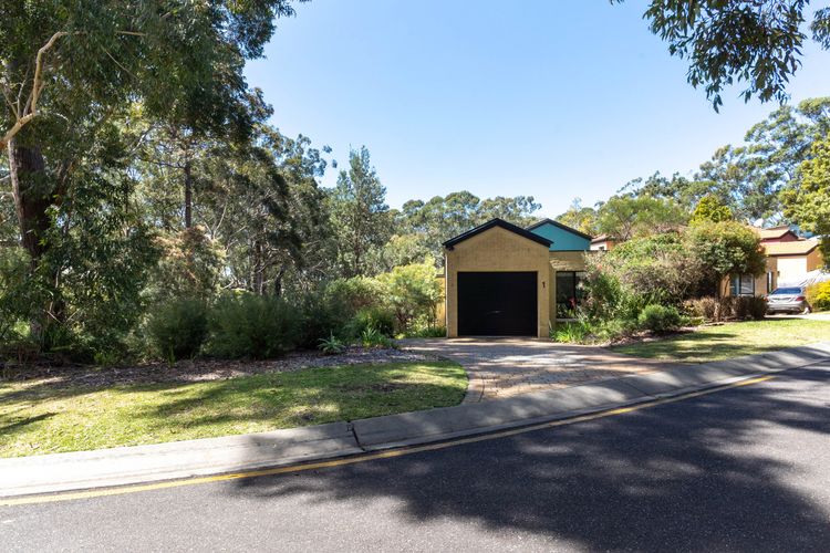 Sandpiper, Hyams Beach