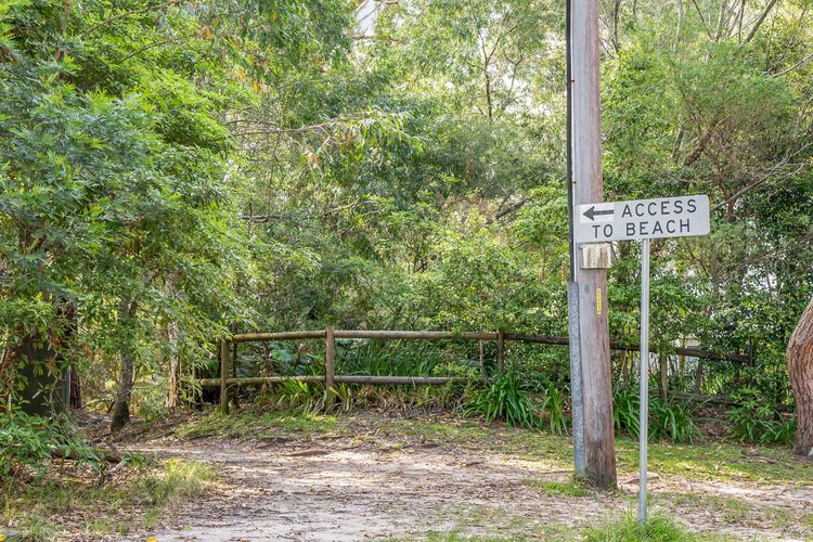 Sandpiper, Hyams Beach