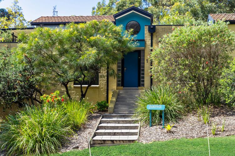 Sandpiper, Hyams Beach