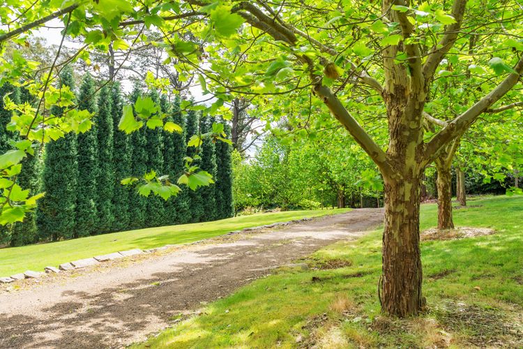 Earlsbrae, Bowral, Southern Highlands