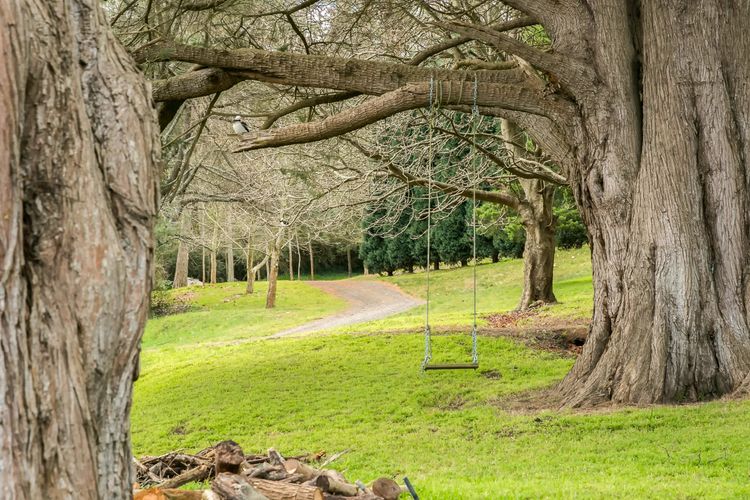 Earlsbrae, Bowral, Southern Highlands