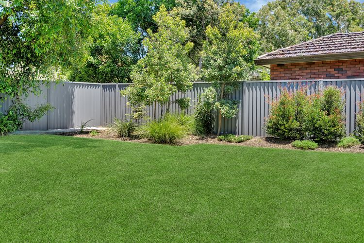 Arches by the Sea, Vincentia