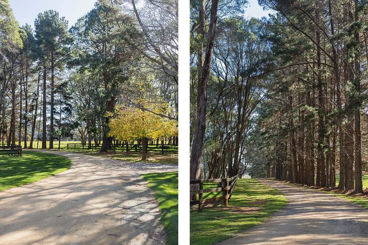 Pindari, Glenquarry, Southern Highlands