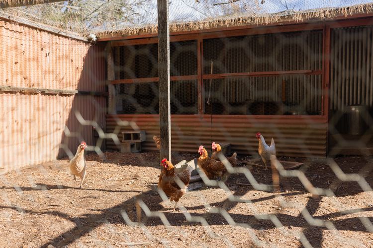 Pindari, Glenquarry, Southern Highlands