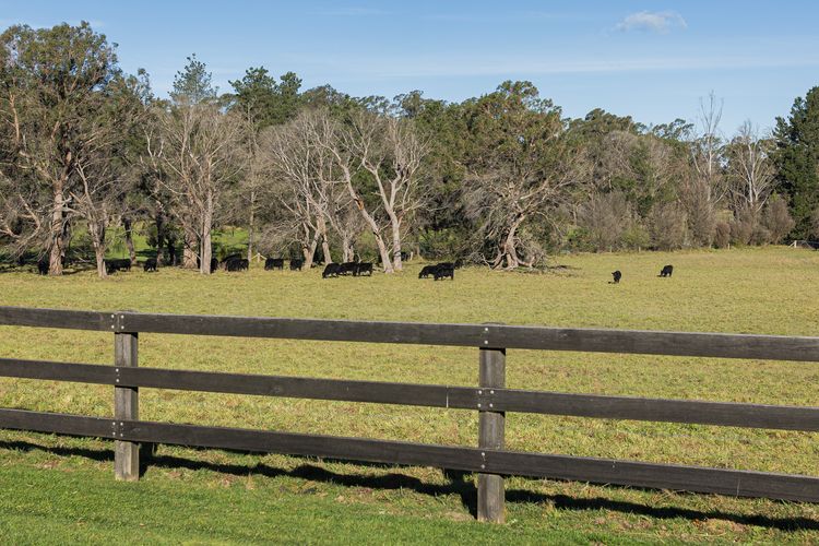 Pindari, Glenquarry, Southern Highlands