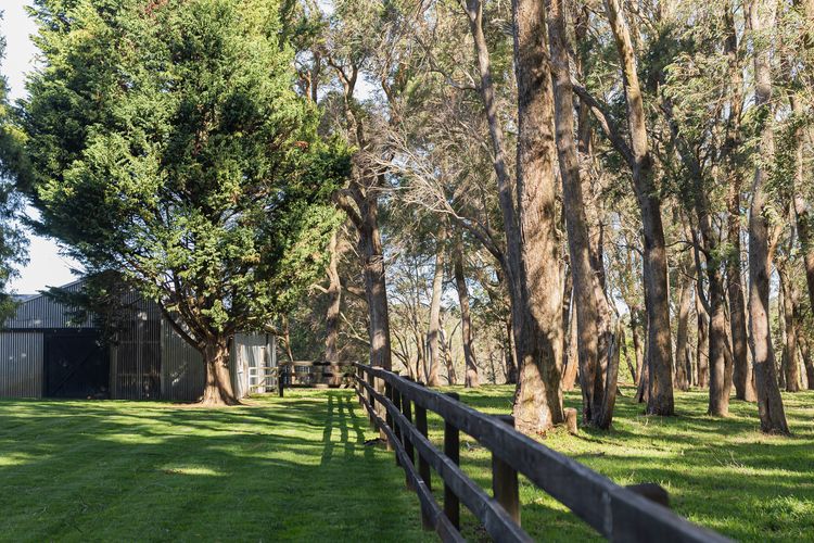 Pindari, Glenquarry, Southern Highlands