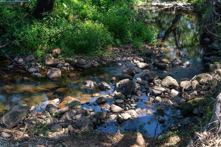 Grovebrook Cottage, Broughton