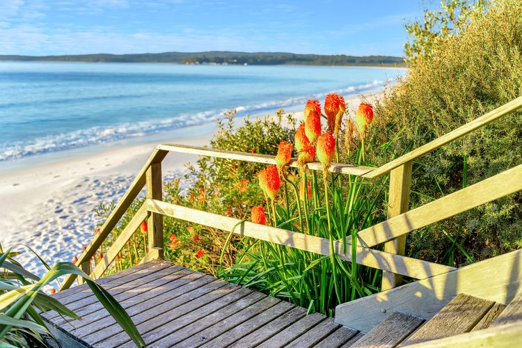 Elandra, Hyams Beach