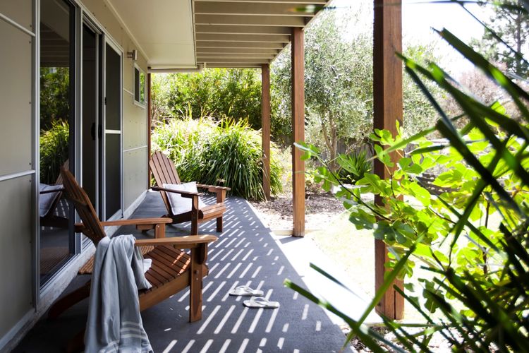 Grey Gums on Jervis, Vincentia