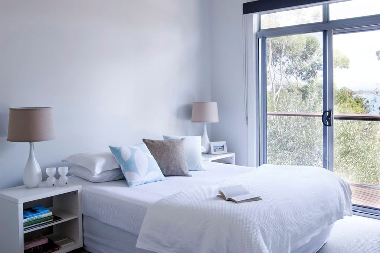 Grey Gums on Jervis, Vincentia