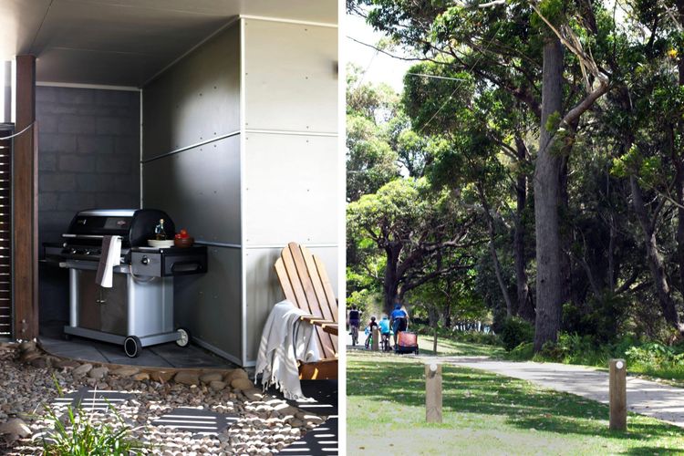 Grey Gums on Jervis, Vincentia