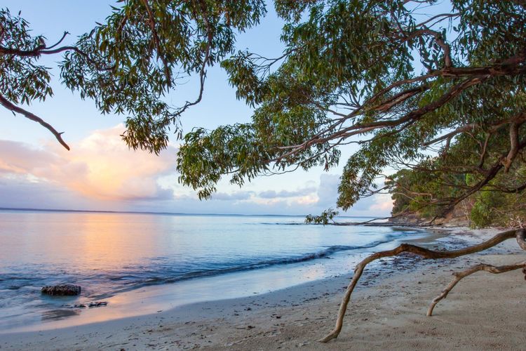 Harlequin Beach House, Vincentia