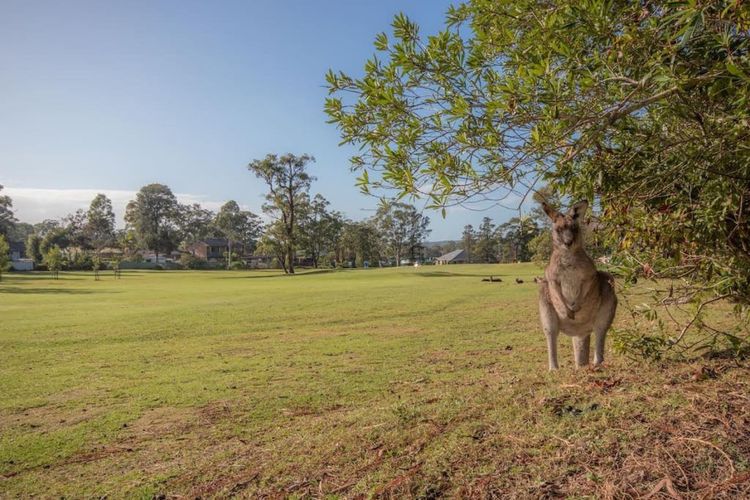Little Sanctuary  Your Perfect Getaway, A Short Stroll to Palm Beach