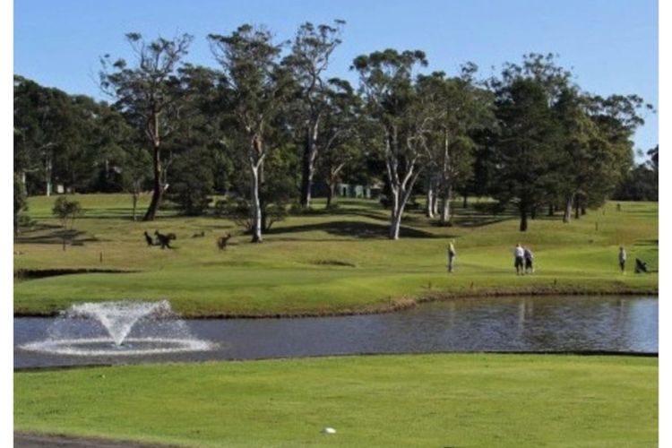 Greville Getaway – Absolute Waterfront
