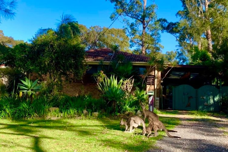 Creative Art House Jervis Bay