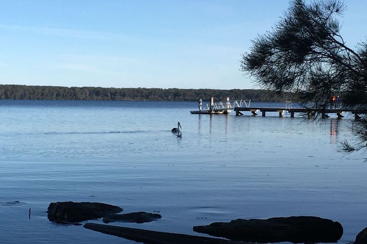Bliss on the Basin – Water views