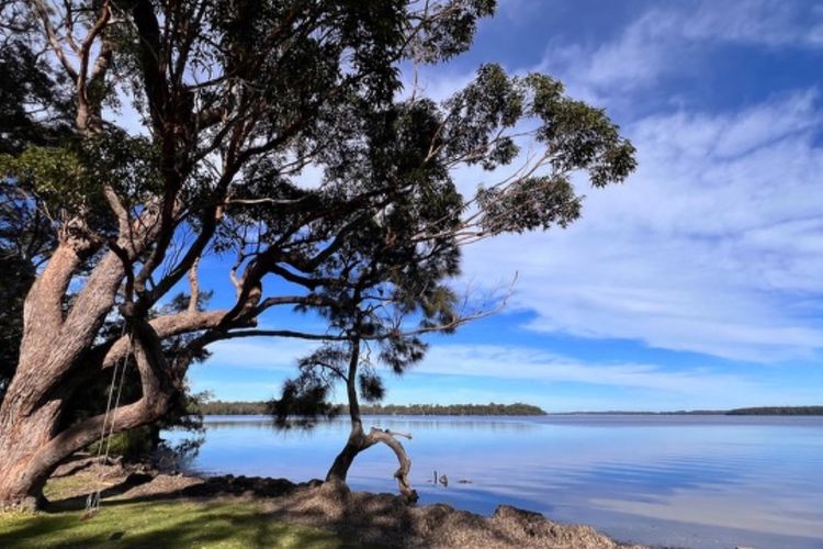 Bliss on the Basin – Water views