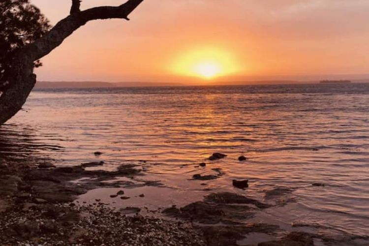 Sanctuary Paradise Waterfront – Pets Allowed