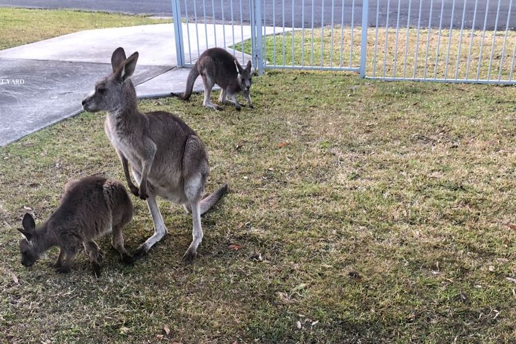 Sanctuary Cottage – Family Friendly