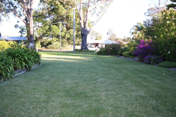 In The Heart Of Husky