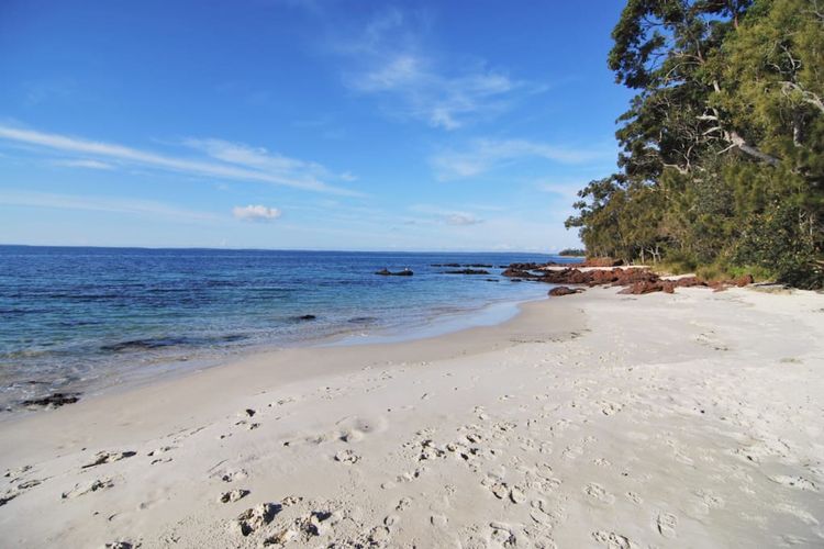 In The Heart Of Husky