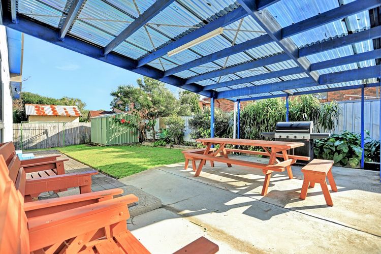 In The Heart Of Husky