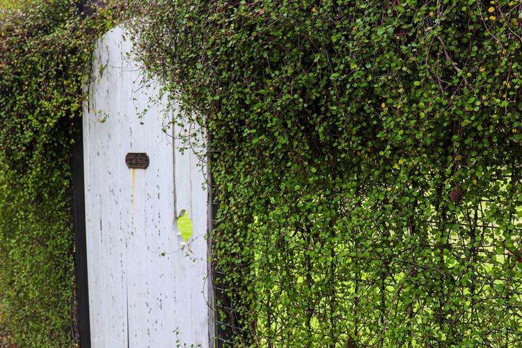 The Old Cottage – Country Couples Retreat