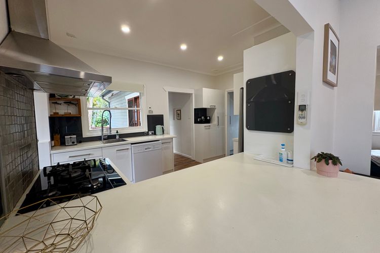 Dusky Whaler – Pet Friendly