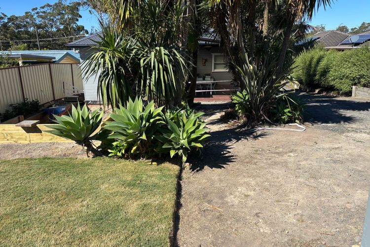 Dusky Whaler – Pet Friendly