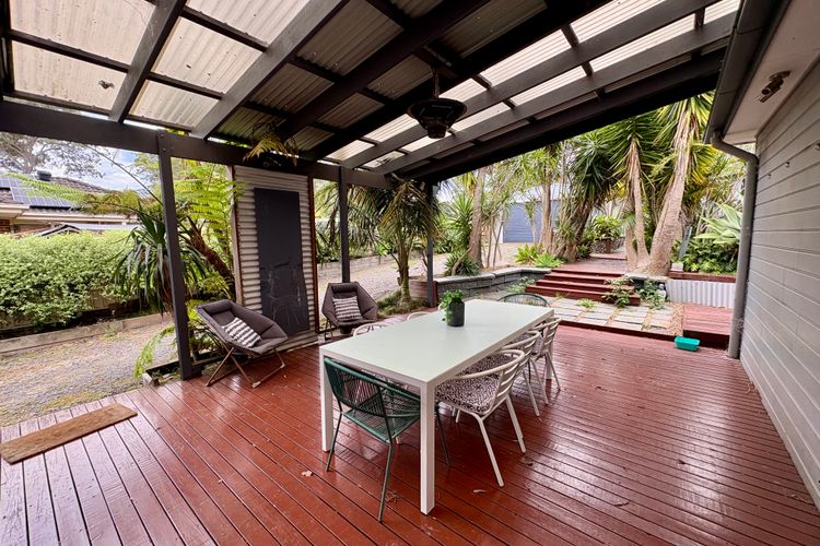 Dusky Whaler – Pet Friendly