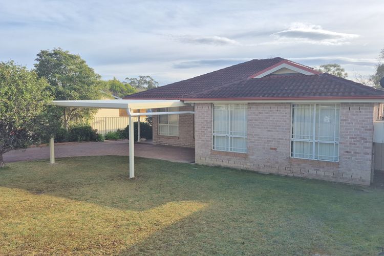 Family Fun on Frederick