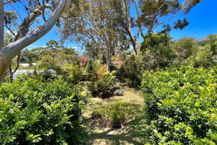 Kookaburra Dreaming by Book Jervis Bay – Only 400m from the beach