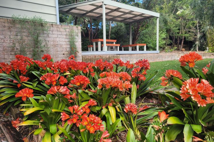 KURRUMBIN! – Vincentia FREE WIFI, FREE LINEN, 300m From the beach