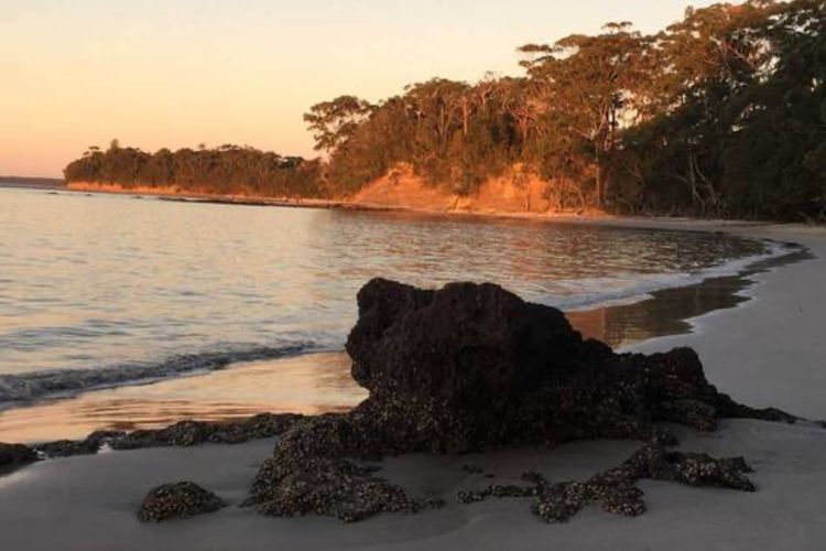 KURRUMBIN! – Vincentia FREE WIFI, FREE LINEN, 300m From the beach