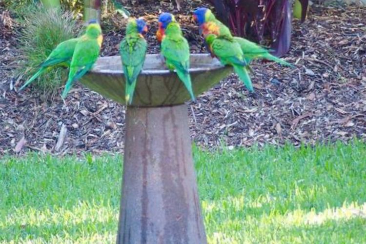 KURRUMBIN! – Vincentia FREE WIFI, FREE LINEN, 300m From the beach