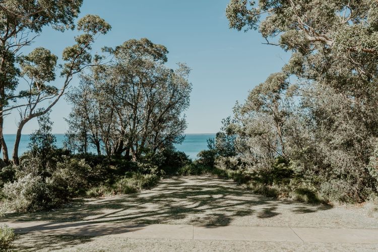 Mana Magic – Beach Access on your Doorstep!