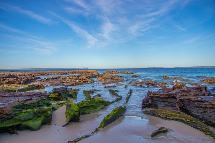 On Collingwood Beach – Downstairs Apartment – 50m FROM THE WATER