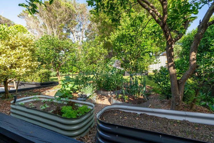 Kiama Mountain Views Home
