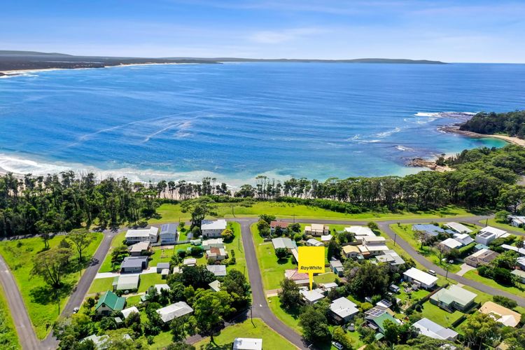 Elanora