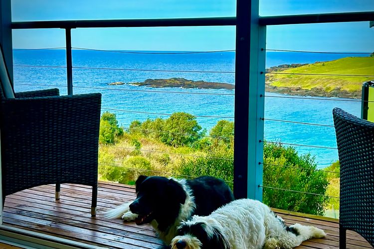 Easts Haven – Stay 5 Pay 4 October Long Weekends!!