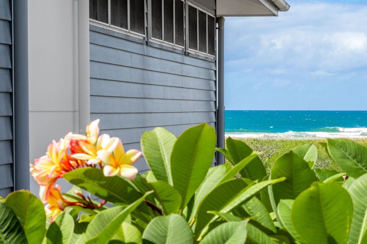 The Beach House