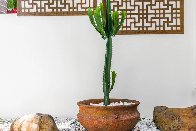 Browning Street Sea Drift