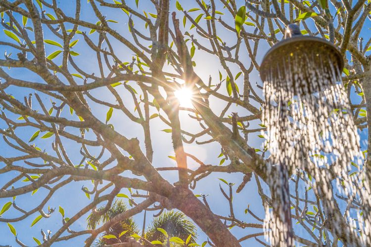 Sanctuary on Browning