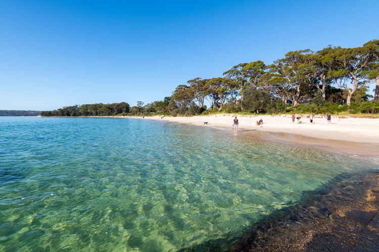 Bea203/9 – Escape to Serenity by Experience Jervis Bay