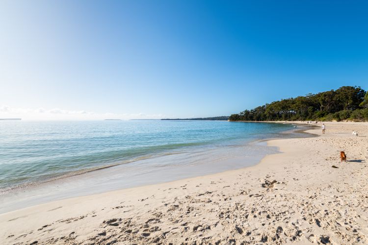 Bea203/9 – Escape to Serenity by Experience Jervis Bay