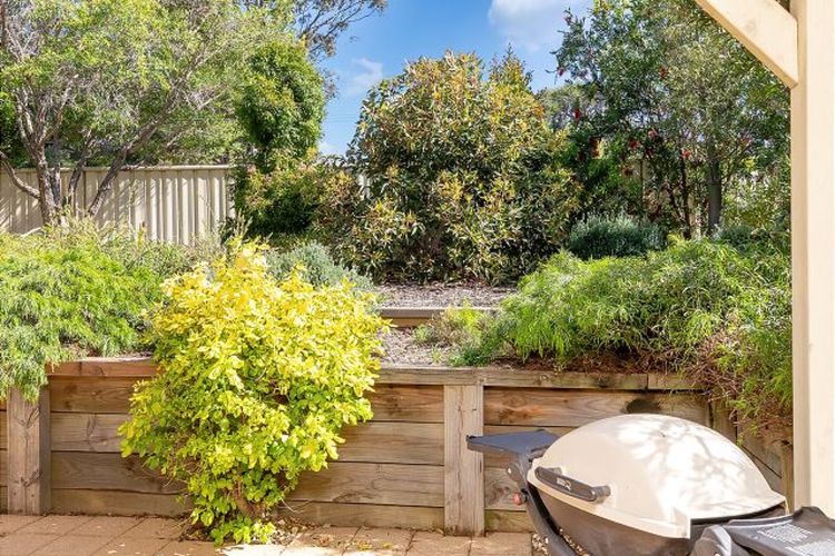 Woo23/15 – The Porthole of Huskisson by Experience Jervis Bay